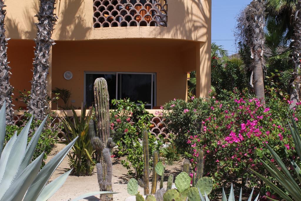 Hotel Posada La Poza Todos Santos Quarto foto