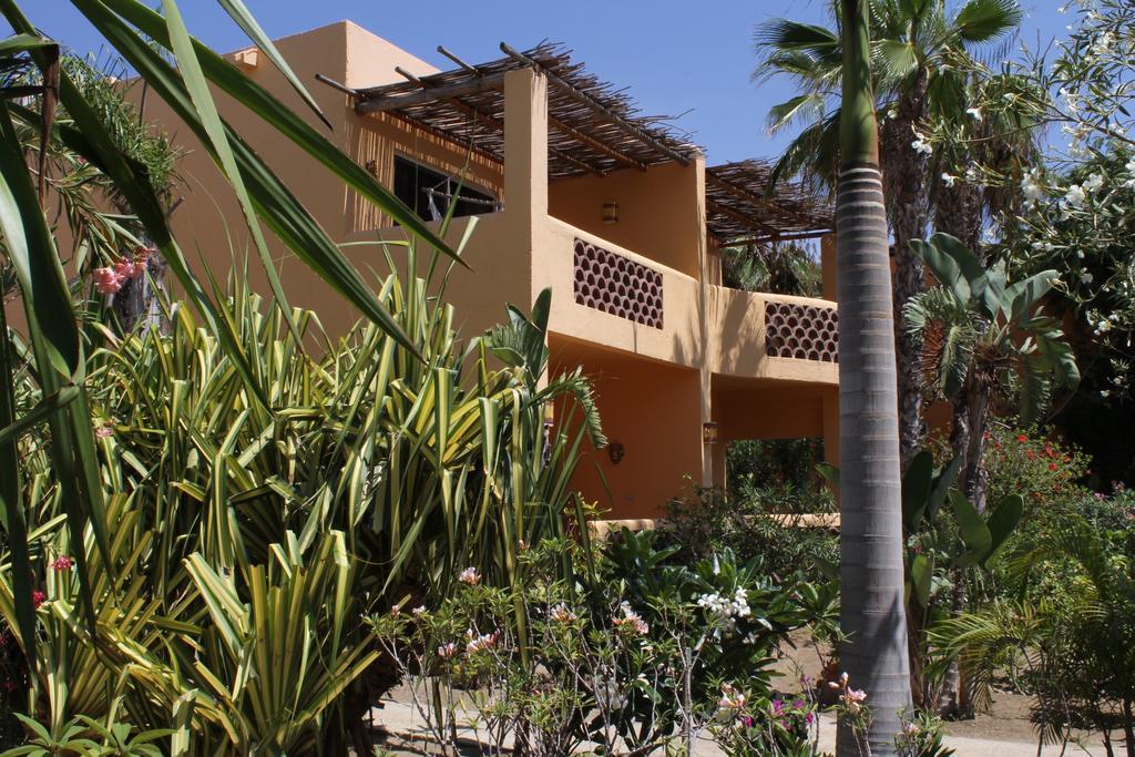 Hotel Posada La Poza Todos Santos Quarto foto