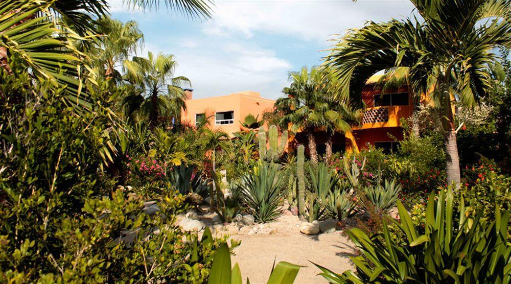 Hotel Posada La Poza Todos Santos Exterior foto