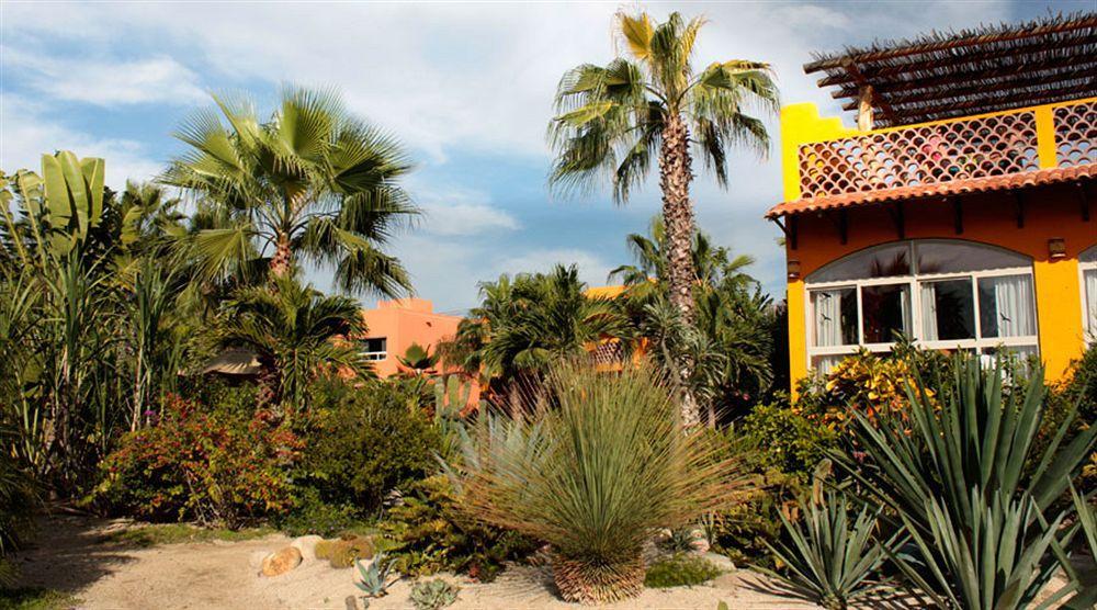 Hotel Posada La Poza Todos Santos Exterior foto