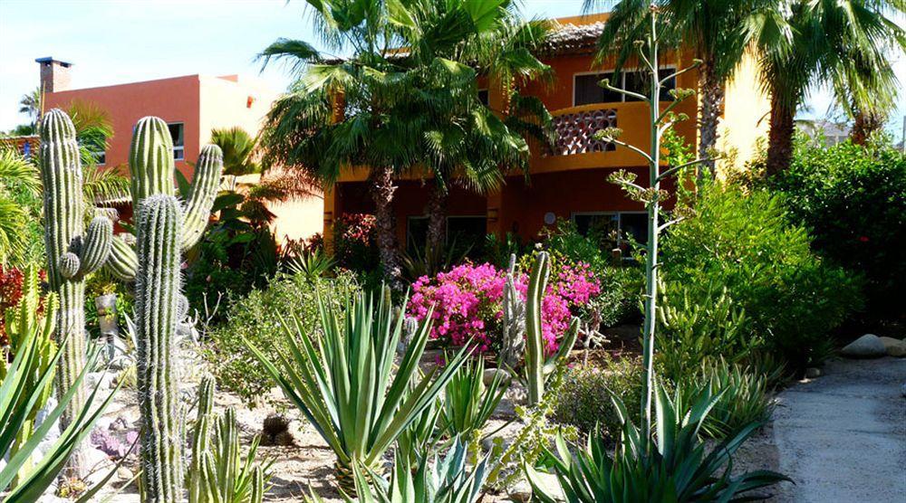 Hotel Posada La Poza Todos Santos Exterior foto